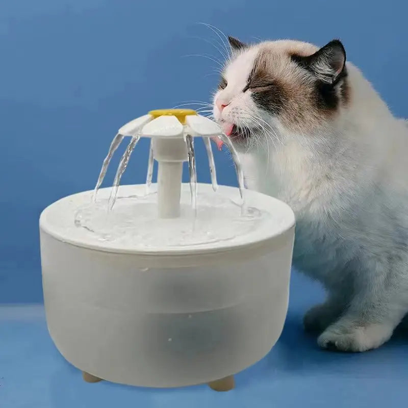Quiet Auto Water Fountain