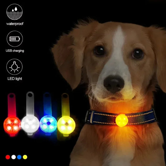 Light Up Safety Collar